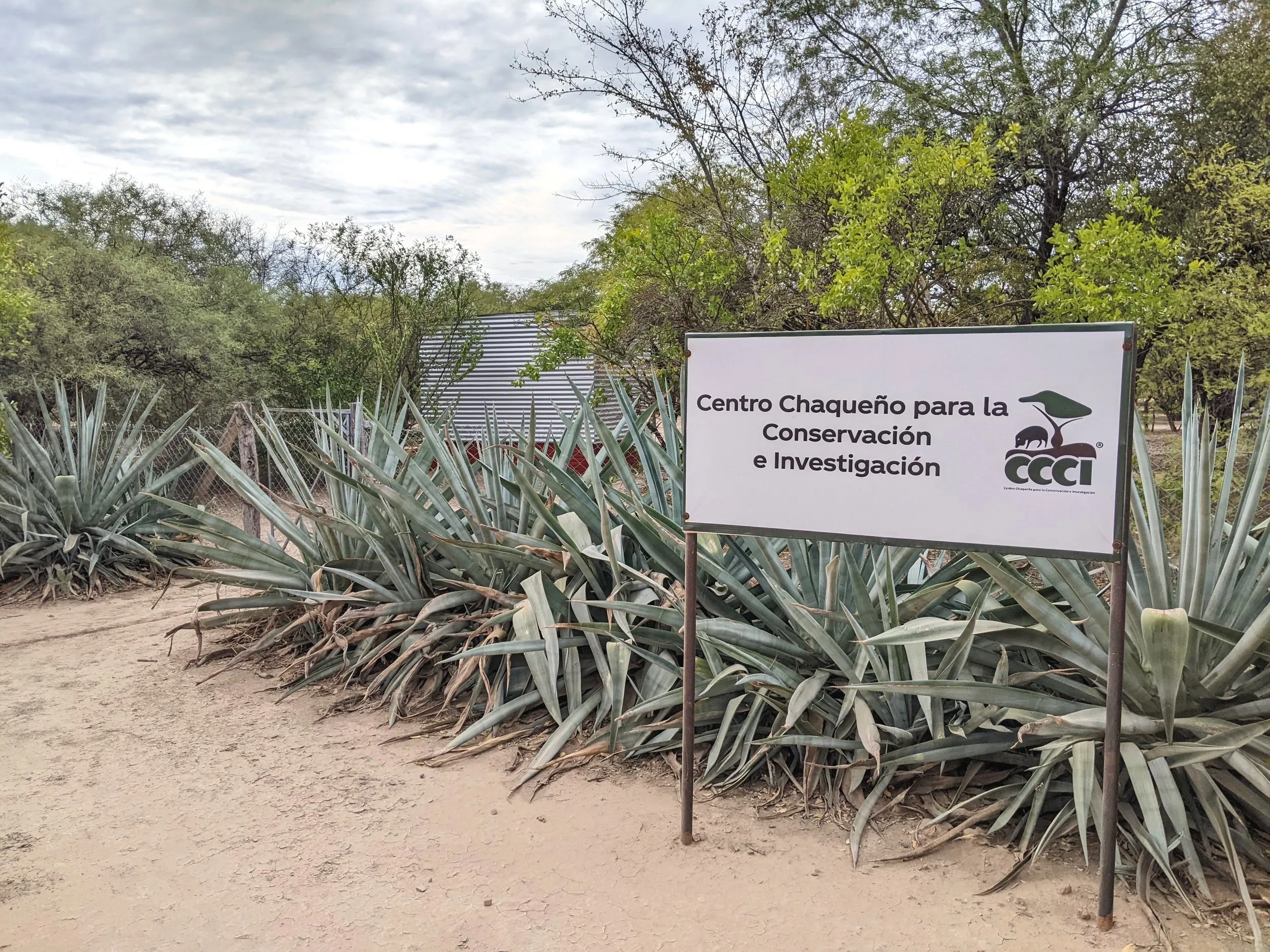 El cartel del Centro Chaqueño para la Conservación e Investigación entre plantas espinosas
